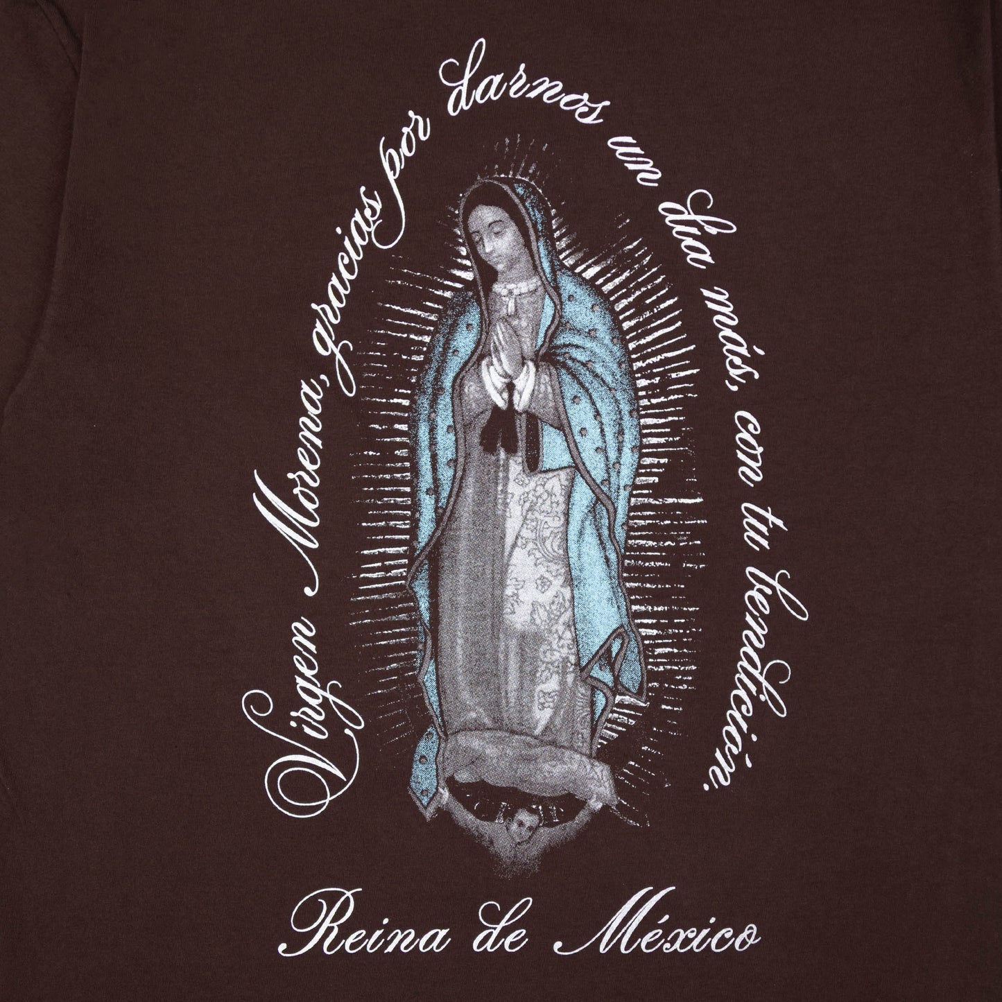 La Virgen de Guadalupe T-Shirt (Brown)