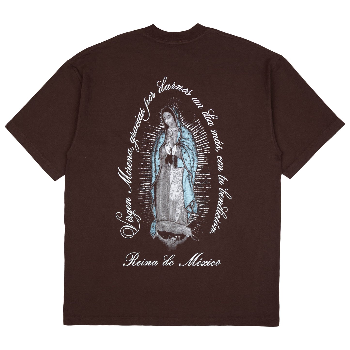 La Virgen de Guadalupe T-Shirt (Brown)