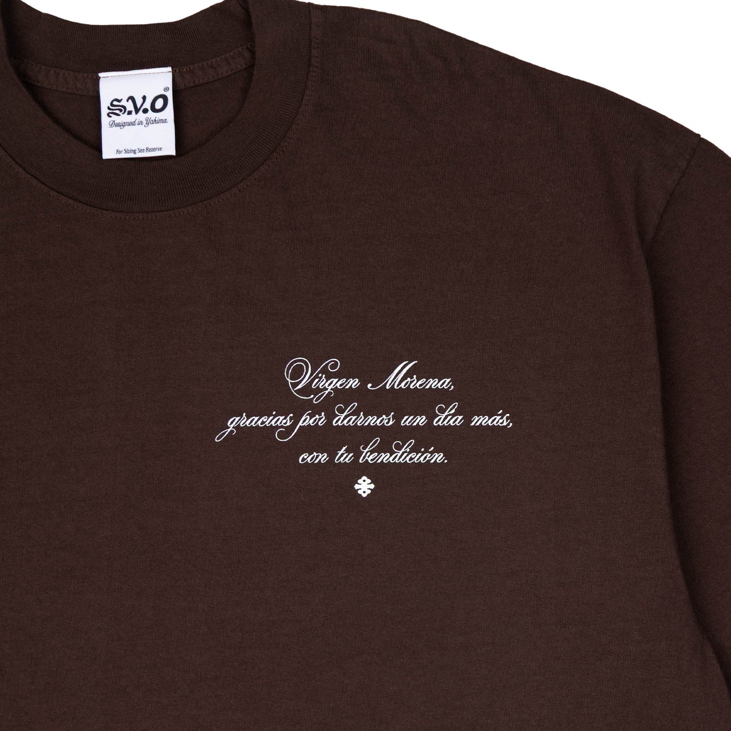 La Virgen de Guadalupe T-Shirt (Brown)