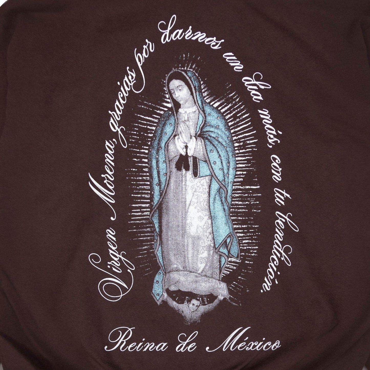 La Virgen de Guadalupe Hoodie (Brown)